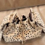 Chanel bag 25