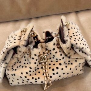 Chanel bag 25