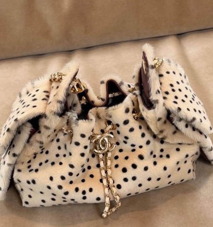 Chanel bag 25