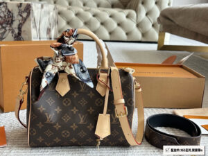 rep LV Speedy 25 Pillow Bag